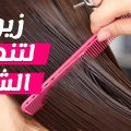 509 3 ماهي الزيوت لتنعيم الشعر - افضل وصفات لتنعيم الشعر منذر رامان