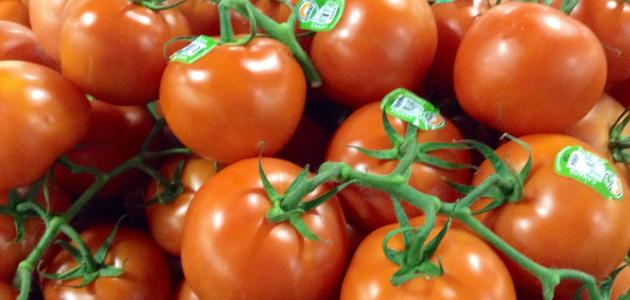 769 3 تصبير الطماطم في الثلاجة - طريقة تجفيف الطماطم بسمة شديد