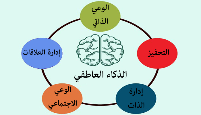 ما هو الذكاء العاطفي - عادات من يمتلكون الذكاء العاطفي 781 3