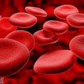 12047 1 هل ارتفاع كريات الدم الحمراء خطير - خطر ارتفاع كرة الدم الحمراء في الدم بسمة شديد