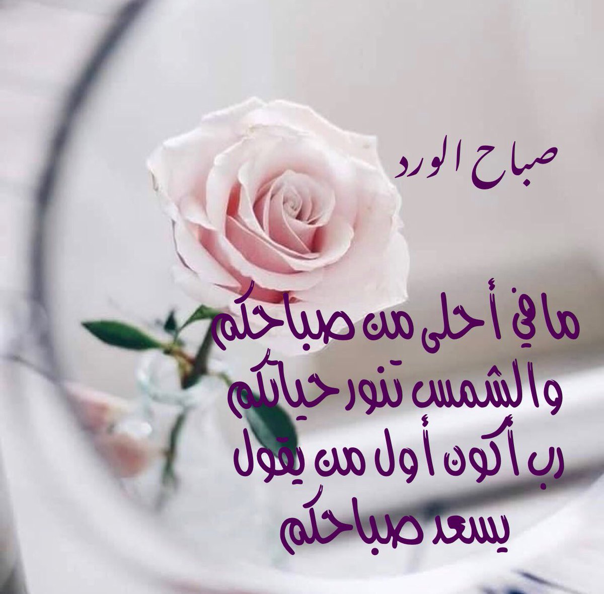 صباح الحب حبيبي 4270 11