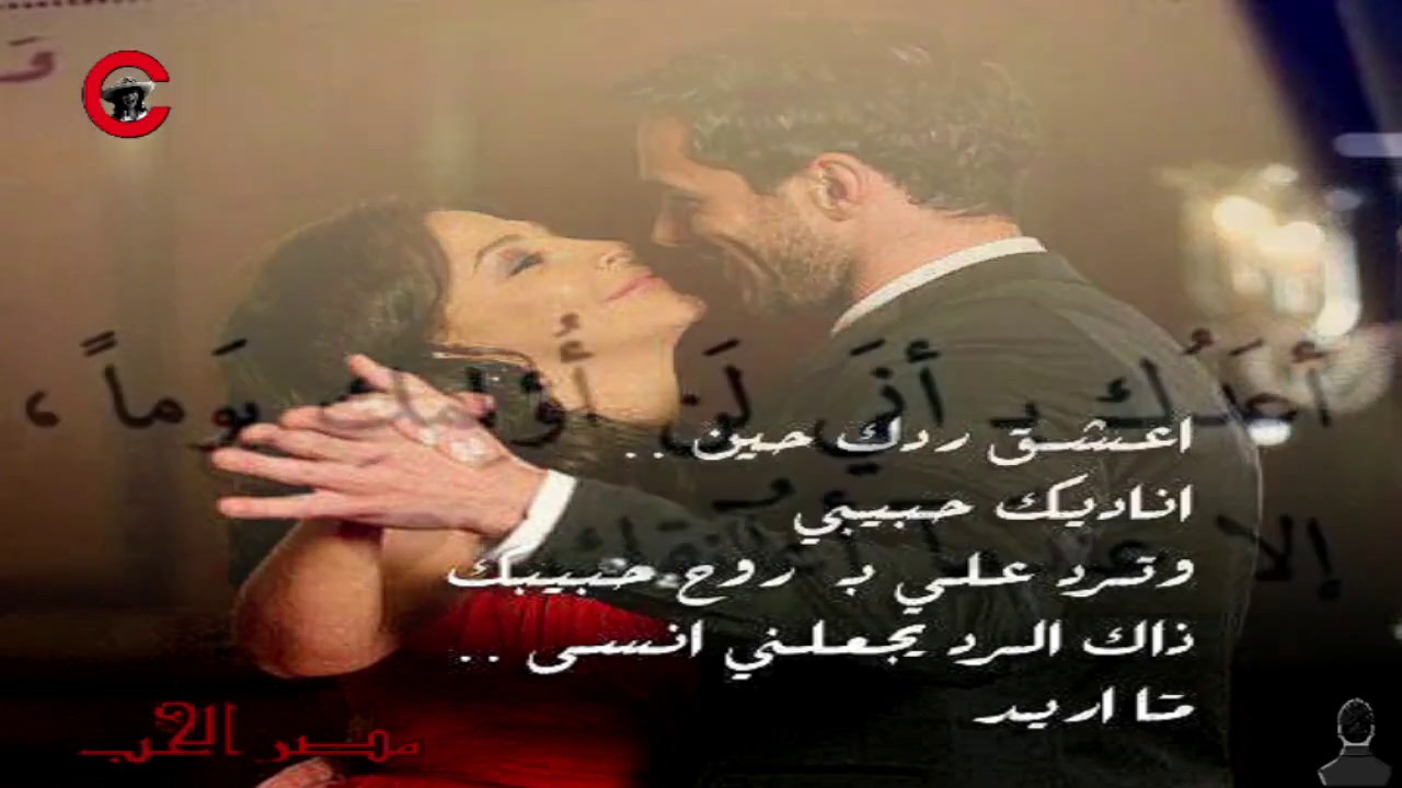 ابيات شعر حلوه وقويه