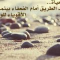 6519 3 كلمات حزينة ومؤلمة عن الحياة - عبارات حزن وتعب من مصاعب الحياه رزان