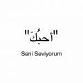 6742 1-Png تعلم التركية - طرق سريعه لتعلم اللغه التركيه ف وقت قصير فراولة ضاحكة