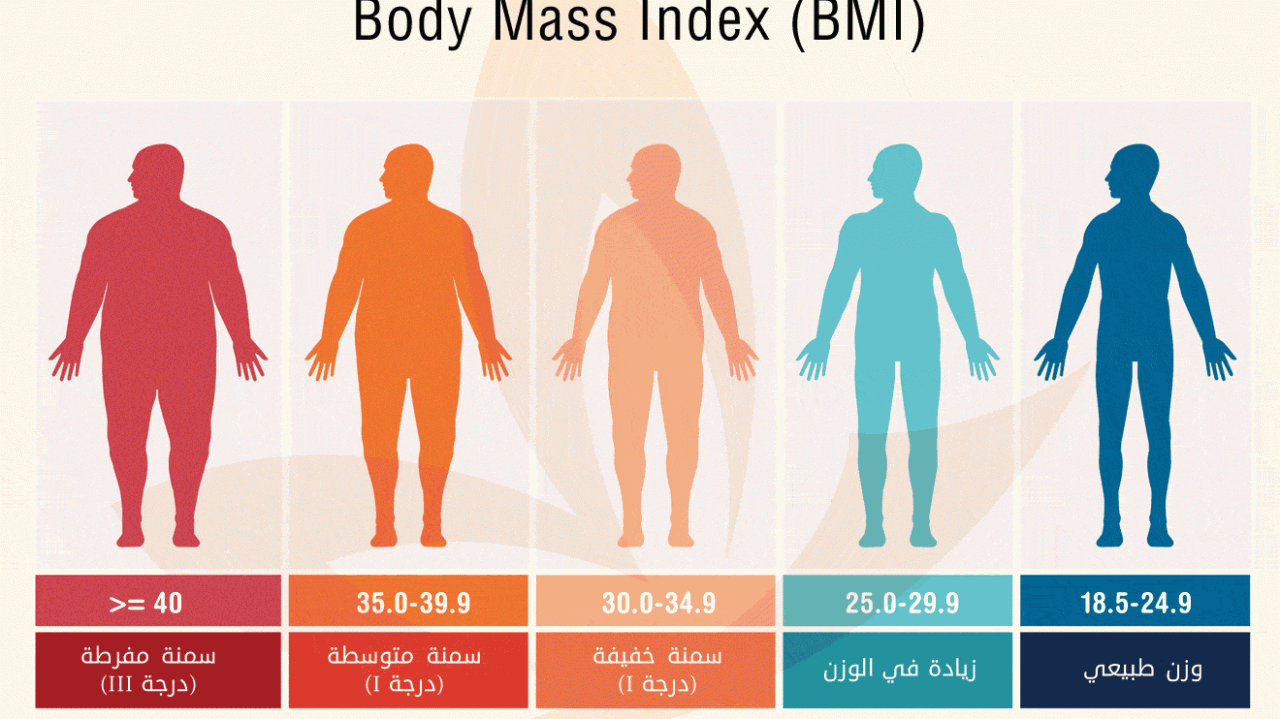 11802 1 معرفة كتلة الجسم- اعرف الان وزنك مثالي ام لا ميريهان راشيدة